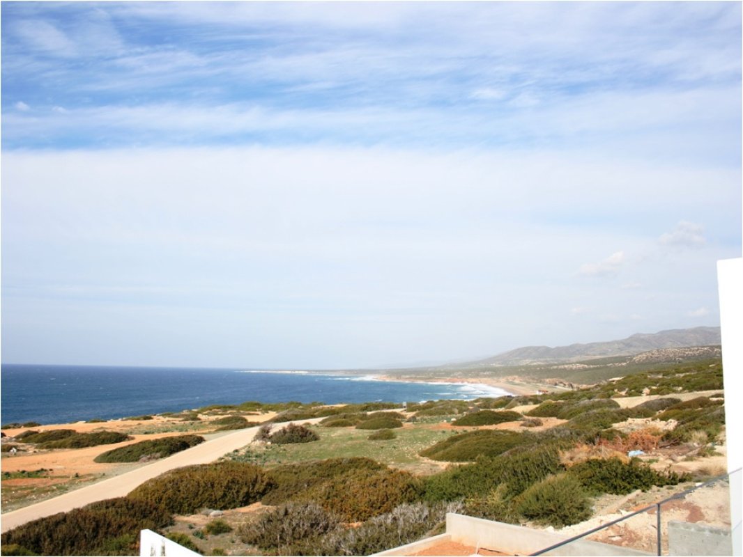 Studio Villa à Paphos, Chypre No. 38192
