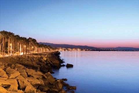 Вилла с 4 комнатами в Лимассол, Лимасол,  № 38187 12