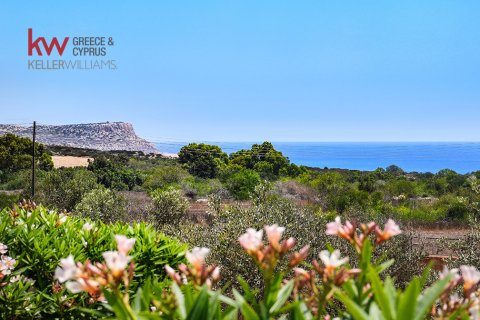 Вилла с 3 спальнями в Айя Напа, Аммохостос,  № 50929 25