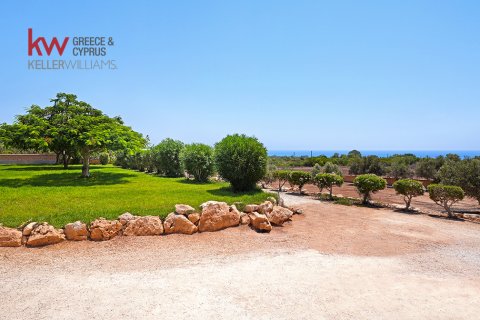 Вилла с 3 спальнями в Айя Напа, Аммохостос,  № 50929 24