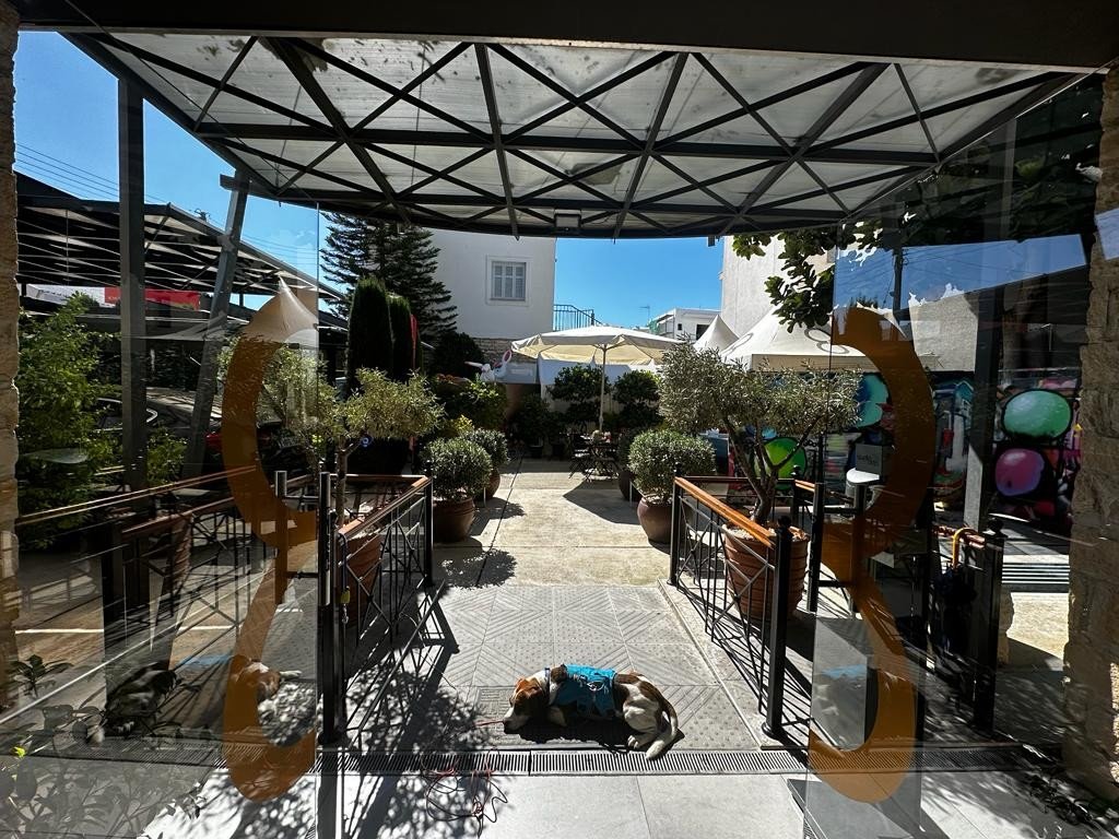 352m2 Bureau à Limassol, Chypre No. 53905
