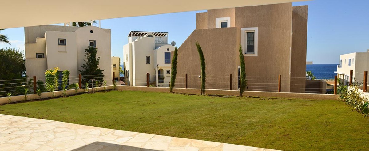 Studio Villa in Paphos, Cyprus No. 38207