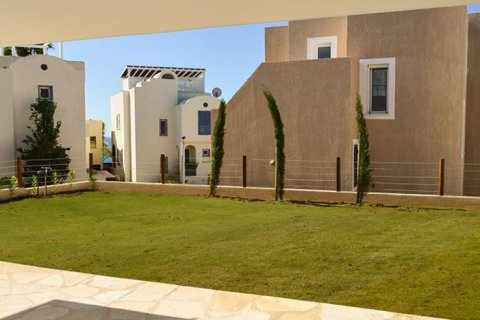 Studio Villa in Paphos, No. 38207 5
