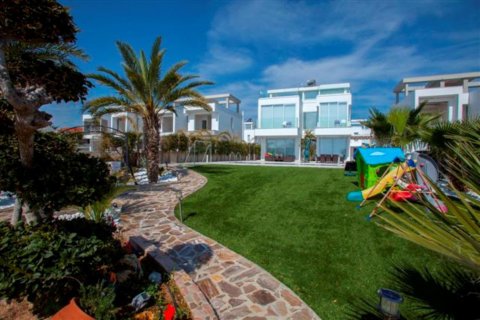 Studio Villa in Larnaca, Larnaka,  No. 38206 5