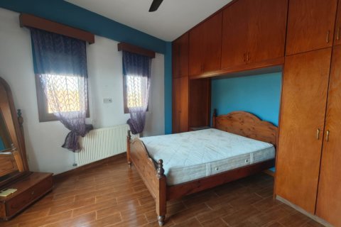 4 bedrooms Townhouse in Larnaka, No. 39692 6