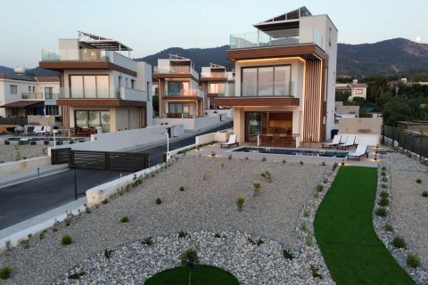 4 chambres Villa à Argaka, Paphos, No. 46885 7