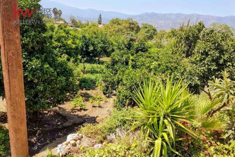 669m2 Terreno en Nicosia, No. 56781 4