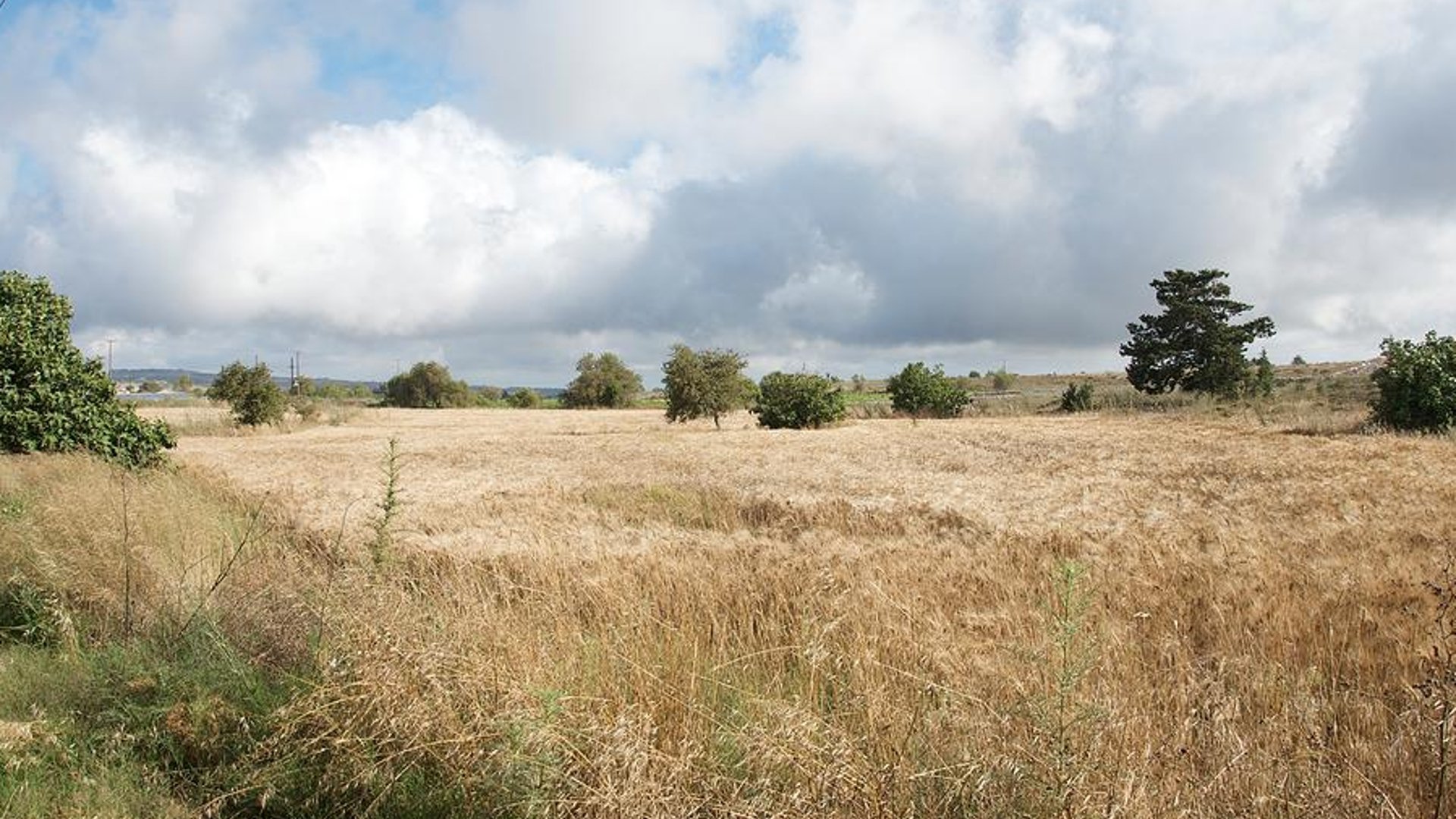 16054m2 Terrain à Polis, Paphos, Chypre No. 25620