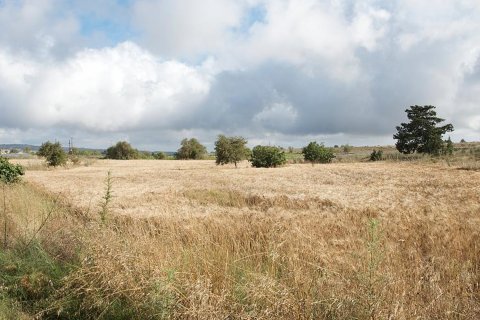 16054m2 Terrain à Polis, Paphos, Chypre No. 25620