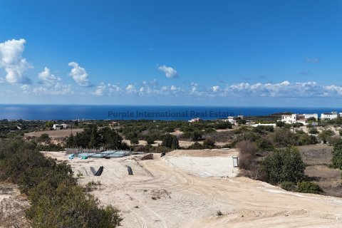 5 bedrooms Villa in Tala, Paphos, No. 37828 14