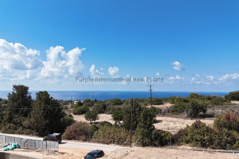 5 bedrooms Villa in Tala, Paphos, No. 37828 11