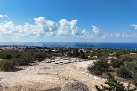 5 bedrooms Villa in Tala, Paphos, No. 37828 13