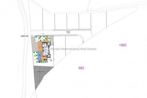 5 bedrooms Villa in Tala, Paphos, No. 37828 3