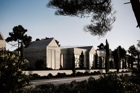 1 bedroom Townhouse in Geroskípou, Paphos, No. 39292 4