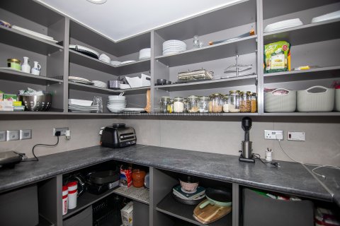 Вилла с 5 спальнями в Дериния, Аммохостос, № 39293 13