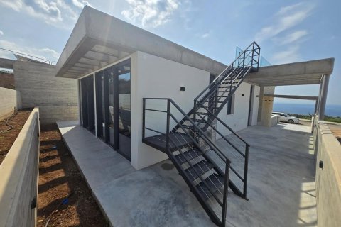 2 chambres Villa à Pegeia, Paphos,  No. 47848 2