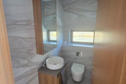 2 chambres Villa à Pegeia, Paphos,  No. 47848 13