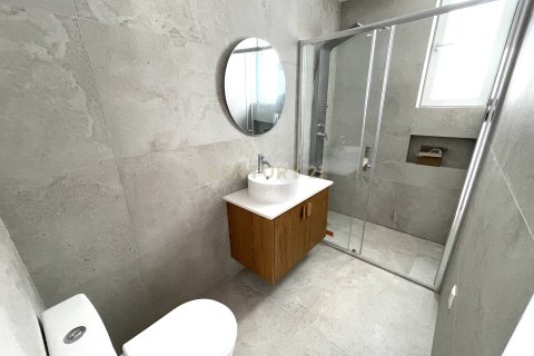 Вилла с 4 спальнями в Перволия, Ларнака, № 54182 18