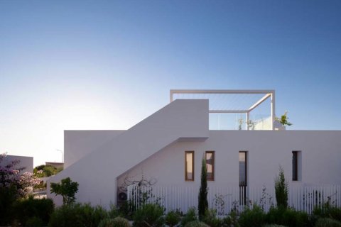 4 bedrooms Villa in Pegeia, Paphos,  No. 45320 10