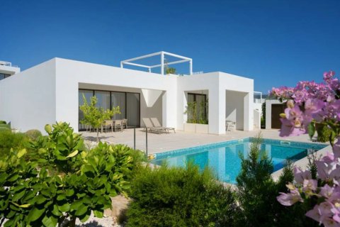 4 bedrooms Villa in Pegeia, Paphos,  No. 45320 8