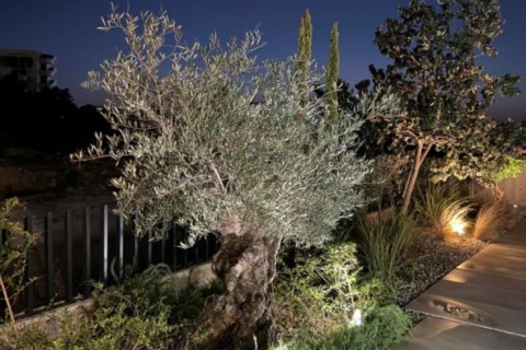 4 bedrooms Villa in Protaras, Ammochostos,  No. 40205 5