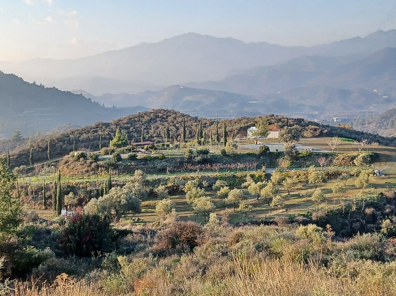 Land in Kellaki, Limassol, Cyprus No. 53624