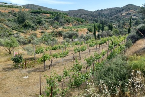 Земельный участок в Келлаки, Лимасол, № 53624 4