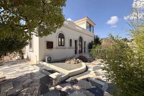 4 dormitorios Villa en Aradippou, Larnaka,  No. 52417 6