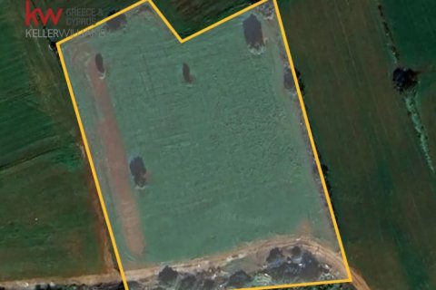 10368m2 Land in Alaminos, Larnaka,  No. 40580 5