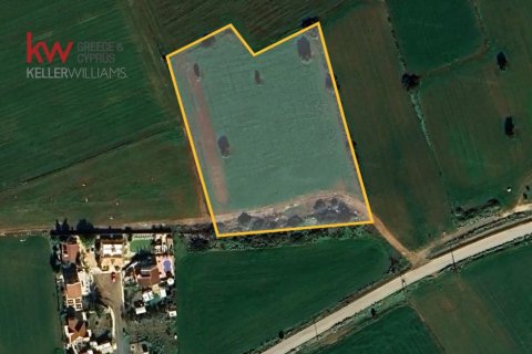 10368m2 Land in Alaminos, Larnaka,  No. 40580 4
