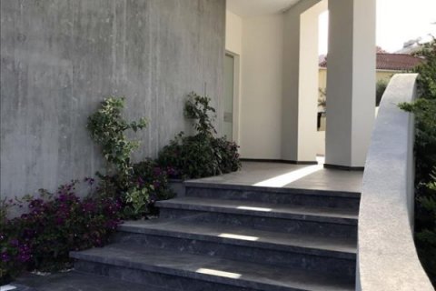 Studio Villa in Limassol, No. 38258