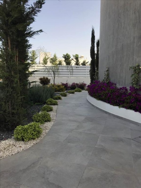 Studio Villa in Limassol, Cyprus No. 38258