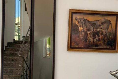 Estudio Villa en Limassol,  No. 38557 6