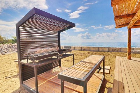 Квартира с 2 спальнями в Корал Бей, Пейя, Пафос,  № 46911 19