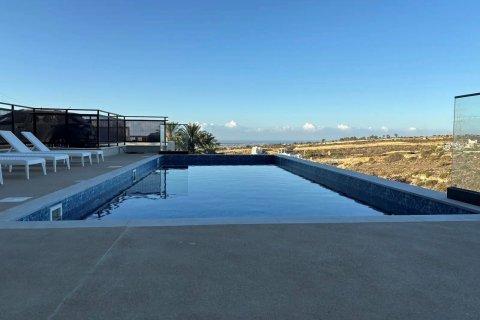 2 bedrooms Penthouse in Limassol,  No. 46910 14