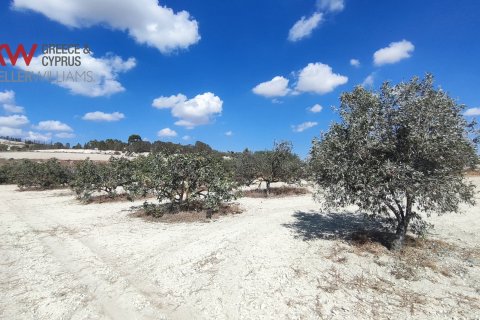7488m2 Terrain à Larnaka,  No. 56767 11