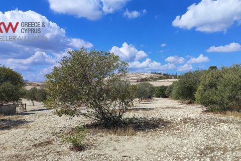 7488m2 Terrain à Larnaka,  No. 56767 15