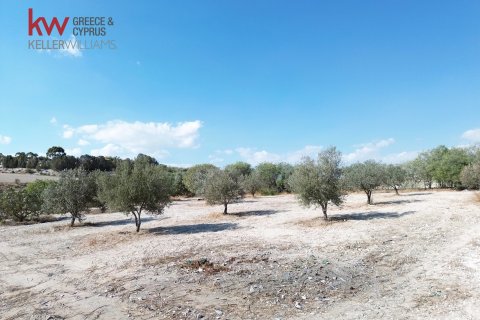 7488m2 Terrain à Larnaka,  No. 56767 4