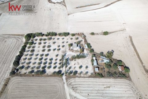 7488m2 Terrain à Larnaka,  No. 56767 2