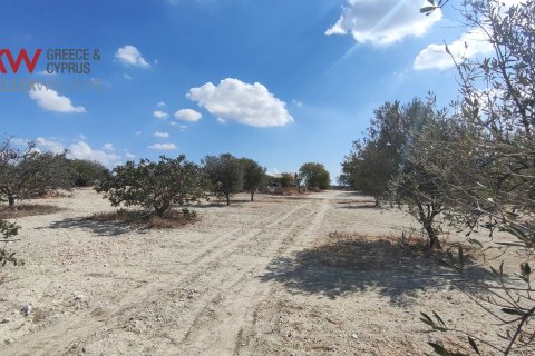 7488m2 Terrain à Larnaka,  No. 56767 12
