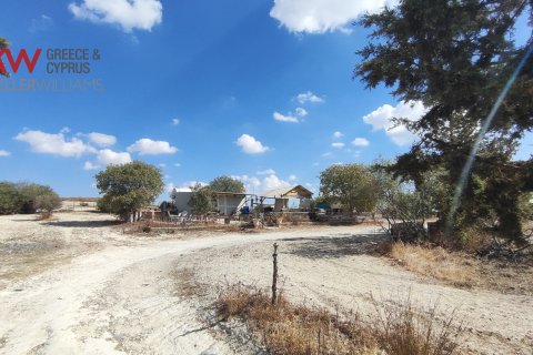 7488m2 Terrain à Larnaka,  No. 56767 10