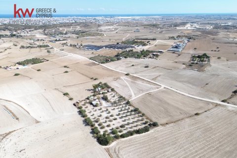 7488m2 Terrain à Larnaka,  No. 56767 3