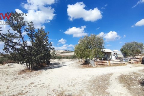7488m2 Terrain à Larnaka,  No. 56767 7