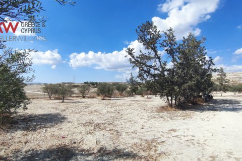 7488m2 Terrain à Larnaka,  No. 56767 8
