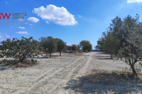 7488m2 Terrain à Larnaka,  No. 56767 13