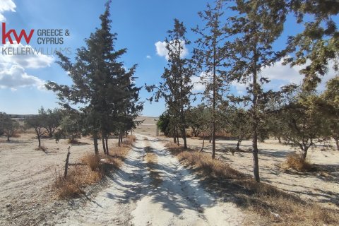7488m2 Terrain à Larnaka,  No. 56767 6
