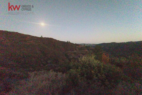 31773m2 Terrain à Pano Lefkara, Larnaka,  No. 56773 2