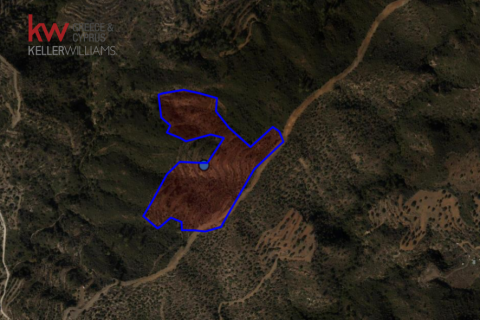 31773m2 Terrain à Pano Lefkara, Larnaka,  No. 56773 3
