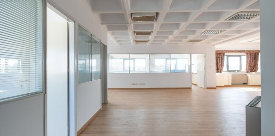 2130m2 Commercial property in Nicosia, No. 37968