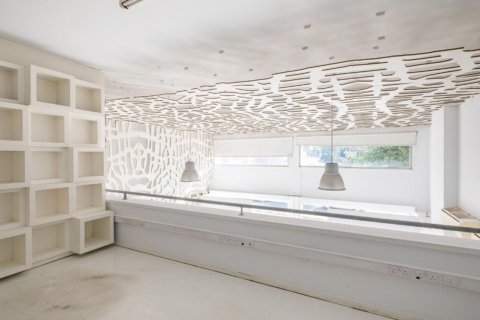 2130m2 Commercial property in Nicosia, No. 37968 4